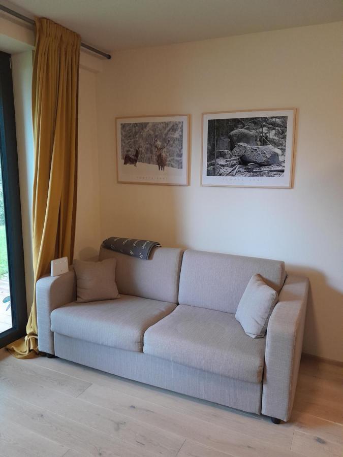 Apartman Pod Jasanem Hojsova Straz Brcalnik Apartment Zelezna Ruda Exterior photo